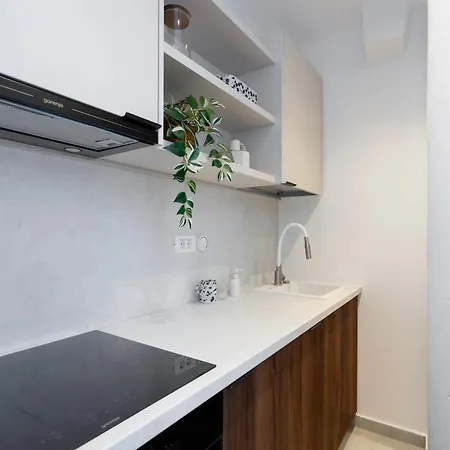 & Stylish 2br Flat Near Cismigiu Gardens Appartement Boekarest